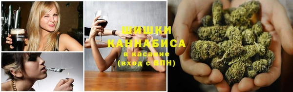 сатива Богородицк