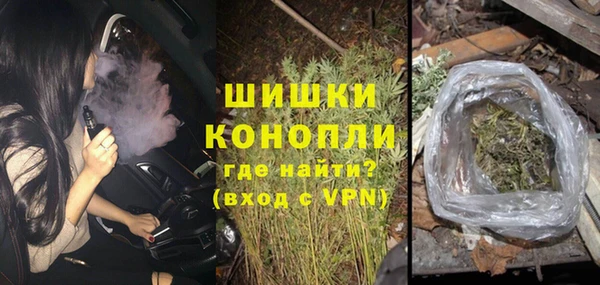 сатива Богородицк