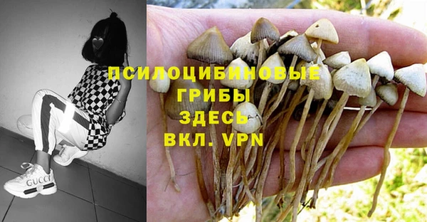 сатива Богородицк