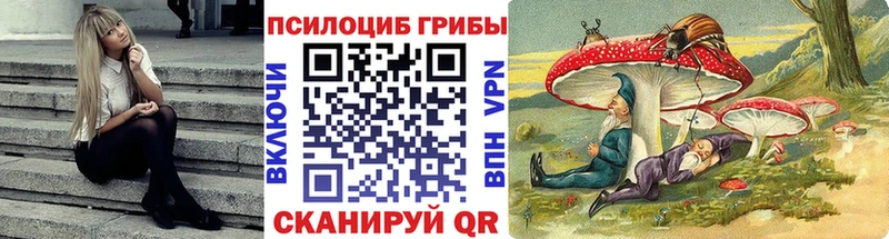 купить   гидра онион  Галлюциногенные грибы мицелий  Белокуриха 